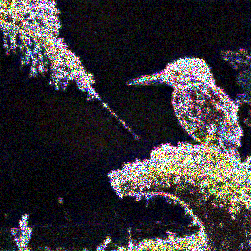 Pixelwise absolute difference for the kingfisher image, amplified 28 times